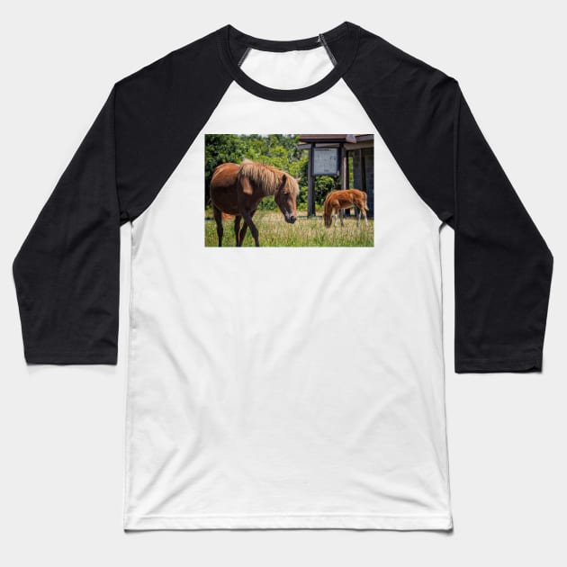 Assateague Pony Moonshadow with Foal Moonbeam Baseball T-Shirt by Swartwout